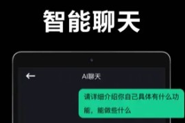 ChatBot v1.4.5_(24092401) 安卓绿化版