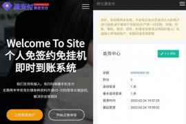 源支付3.1版本全开源版+个人免签支付+第四方支付+店员监控软件+手机监控APP源码