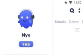 Nyx音乐播放器 v2.5.2 安卓绿化版