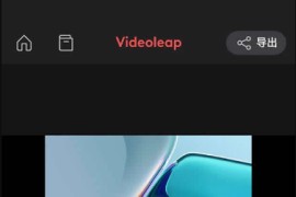 Videoleap v2.52 iOS绿化版