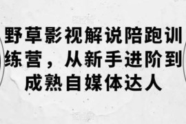 野草影视解说陪跑训练营，从新手进阶到成熟自媒体达人