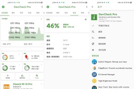 DevCheck v5.16 安卓绿化版