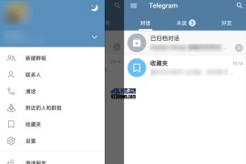 Telegram v10.12.0 安卓绿化版