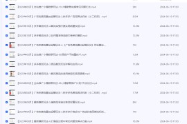 拼多多低成本爆款流实战私教课，0基础也可以轻松搞定电商运营