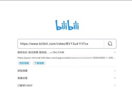 bilibiliDown-极简纯净B站视频解析提取工具