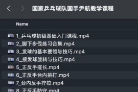 国家乒乓球队国手尹航教学课程