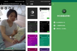 XPlayer v2.3.8.5  安卓绿化版