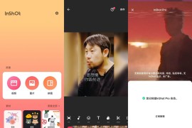 InShot – VLog 视频编辑工具 v1.80.0 iOS绿化版