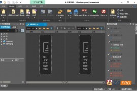 IDM UltraCompare Professional v23.00.0 中文绿色特别版 (Win/Mac)