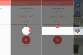 Privacy Overlay v3.0.14 安卓绿化版