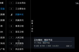 南巡TV v20240213 TV版