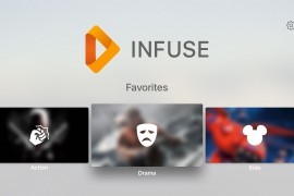 Infuse – 智能視頻播放器 v7.7.7 iOS绿化版