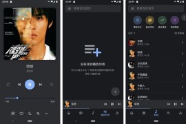 Oto Music v4.0.7 安卓绿化版