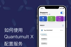 圈x教程-QuantumultX从入门到弃坑