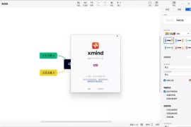 XMind 2024 v25.01 中文免安装绿色特别版 (Win/Mac)