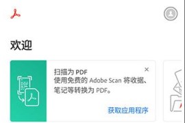 Adobe Acrobat v24.5.0.33357_Beta 安卓绿化版