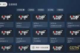 天光云影 v3.3.9-1 TV无广告版