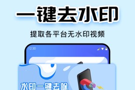 水印大师 v5.0.6.0 安卓绿化版