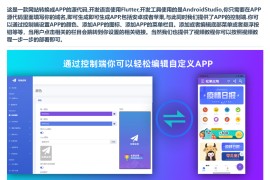 网站转换APP源代码 WebAPP源代码 Flutter项目+带控制端 附视频教程