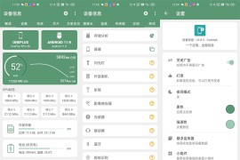 设备信息 v2.9.8(296) 安卓绿化版