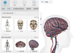 2024人体解剖学图谱 2024.00.005