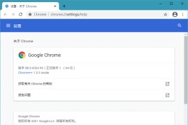 Google Chrome v123.0.6312.59便携增强版