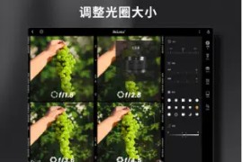 ReLens大光圈单反相机 v4.3.1 iOS绿化版