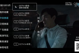 秒看电视 v8.3.0 TV绿化版