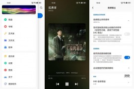 Android Salt Player(椒盐音乐播放器) v10.0.0-beta03