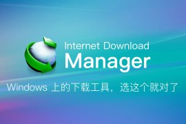 Internet Download Manager 6.42.22 绿色特别版 (IDM)