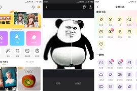 大神P图 v6.6.3.0-CN(1309) 安卓绿化版