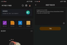 种子磁力下载器 v1.4.2 安卓绿化版