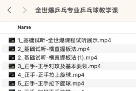 全世爆乒乓专业乒乓球教学课