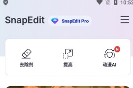 SnapEdit v6.5.8.0 安卓绿化版